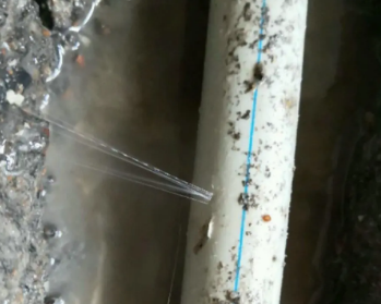 白云卫生间测漏水多少钱